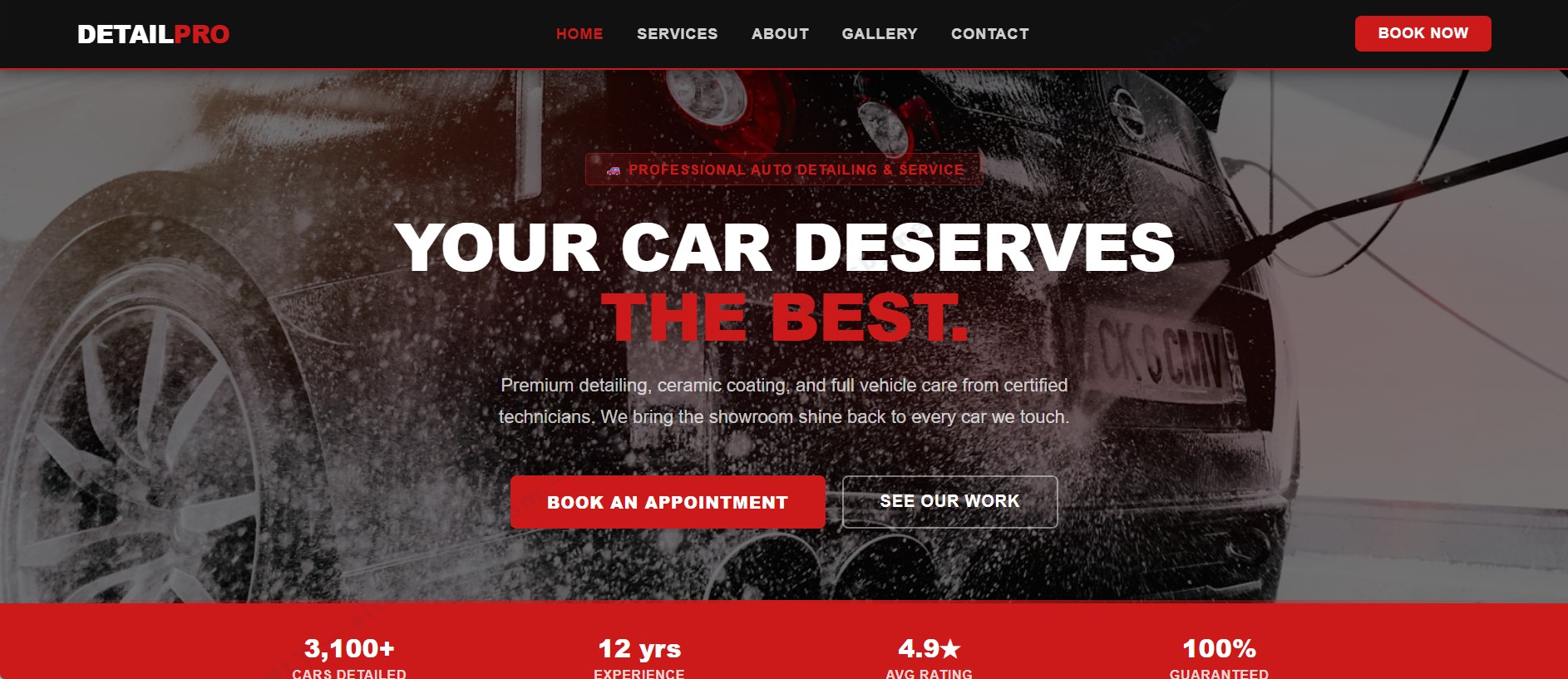 DetailPro Template preview